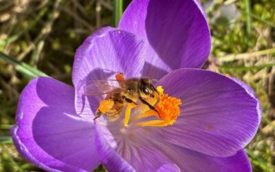 A woman’s story III – a reminder to slow-down