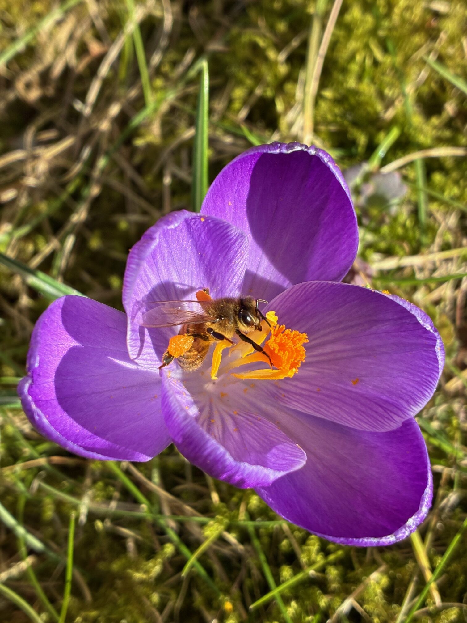 klimakteriet - en påminnelse om att stanna upp