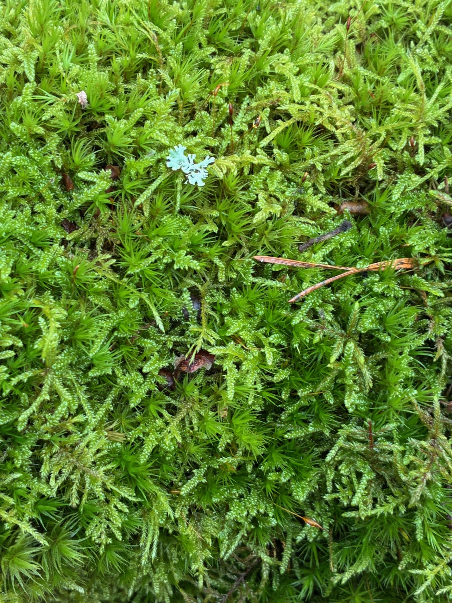 baker-12 The way you speak to yourself