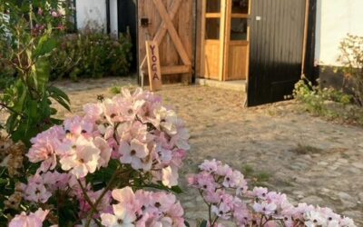 When We Step Away: How Retreats Change Us