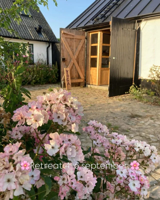 🌸Mellan andetagen 🌸
En varsam höstretreat på Österlen för kropp, sinne och själ.

Det finns stunder i livet då vi behöver stanna upp tillräckligt länge för att höra oss själva igen.

När sommaren långsamt övergår i höst bjuder vi in till tre dagar av stillhet, mjuk rörelse och återhämtning i den vackra naturen på Österlen.

Genom mjuk yoga, Reiki, breathwork, meditation och guidade reflektioner skapar vi ett tryggt rum där du får landa, andas djupare och låta kroppen komma ikapp.

Den här retreaten är för dig som längtar efter att sakta ner, släppa vardagens brus och möta hösten med mer närvaro, energi och inre klarhet.

Vi tror på kraften i att stanna upp, lyssna inåt och varsamt återvända hem till dig själv.

4 – 6 september, 2026 på Österlen, anmäl dig till pernilla@priyayoga.se

🌸Varmt välkommen till Mellan andetagen.🌸