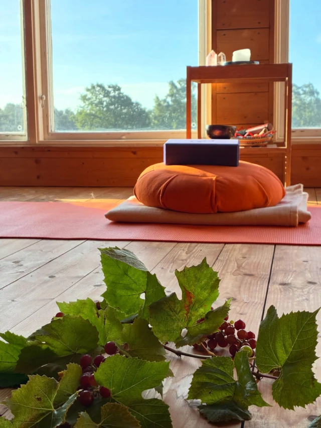 The focus of the last day of the retreat was integration. 🧡Yoga, yoga philosophy and reiki. Sun. ☀️ Reflections. Laughter. Dance. Tears. 🌼🍇